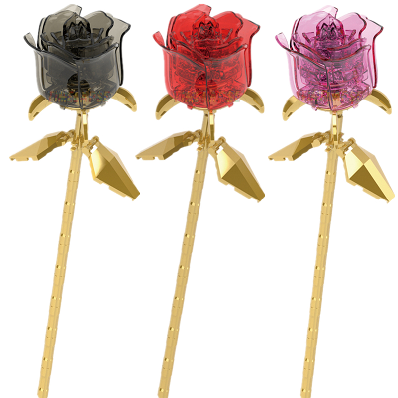 Kids Outdoor Movie Night - DIY Rosa negro Glod rosas luz