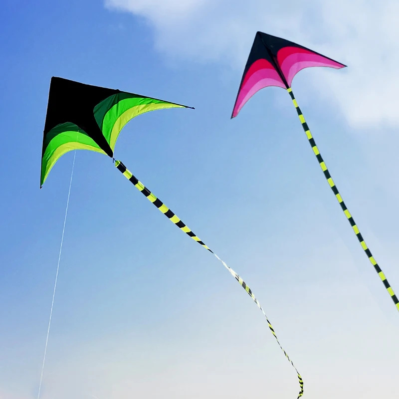 Cometa Delta grande y enorme f - Kite Easy Fly Kids reseña y precio