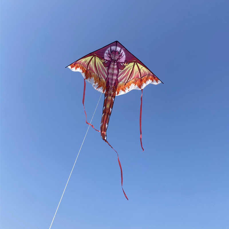 Cometa de dragón grande para n - Kite Easy Fly Kids reseña y precio