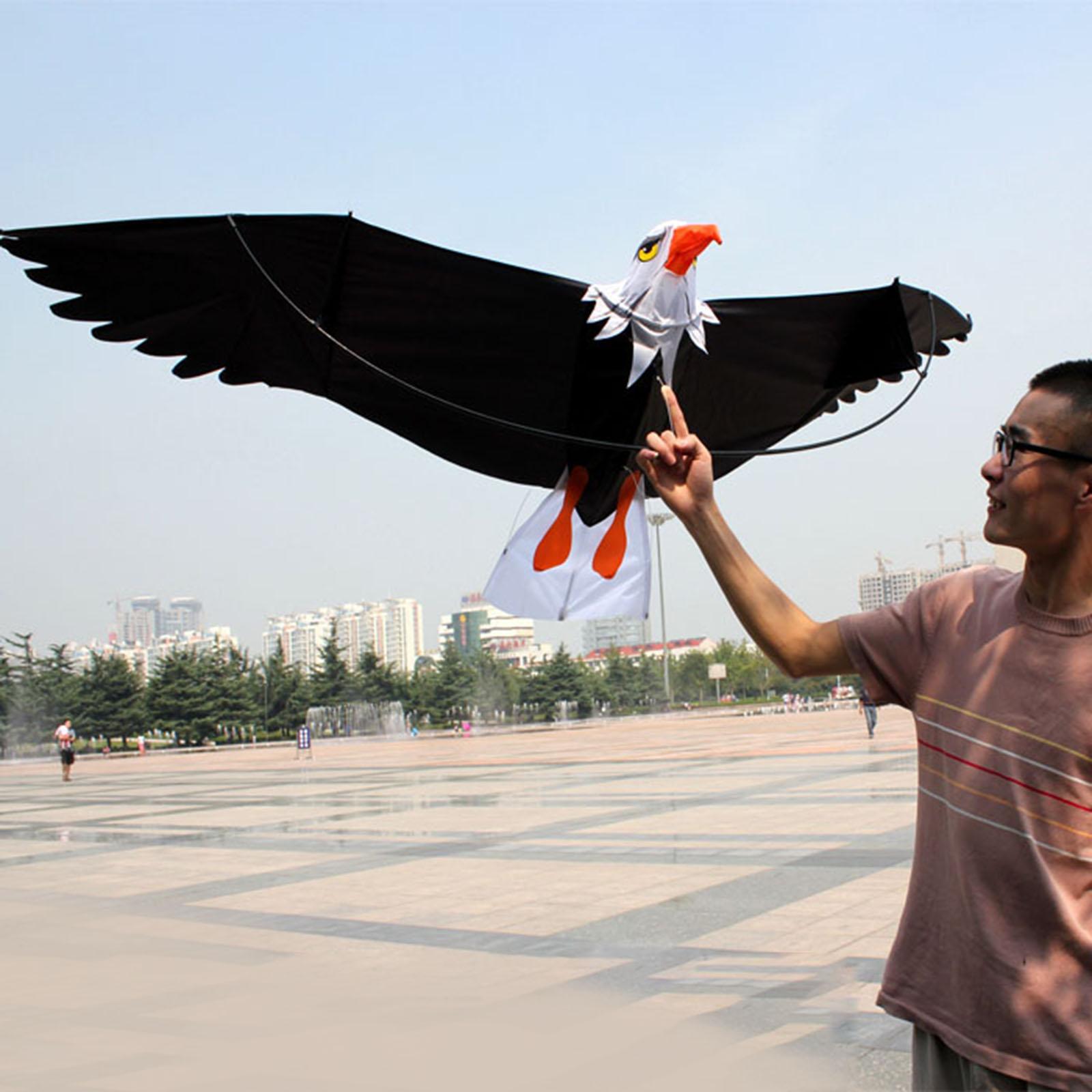 Cometa de águila para niños y  - Kite Easy Fly Kids reseña y precio
