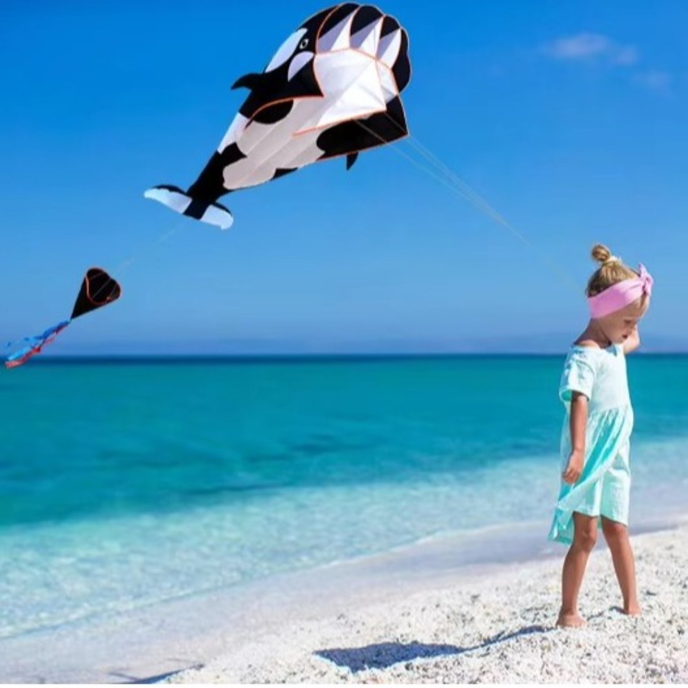 Cometa de ballena/delfín grand - Kite Easy Fly Kids reseña y precio