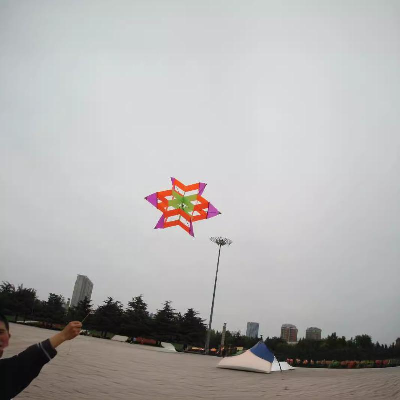 Cometa 3D estilo flor de cirue - Kite Easy Fly Kids reseña y precio