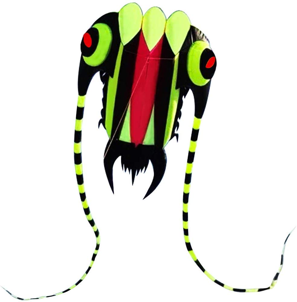 Cometa grande fácil de volar p - Kite Easy Fly Kids reseña y precio