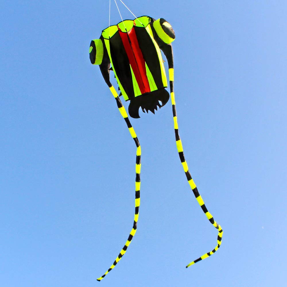 Cometa grande fácil de volar p - Kite Easy Fly Kids reseña y precio