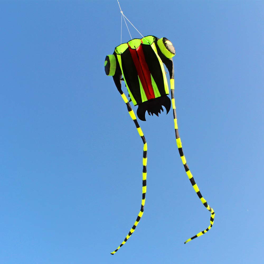 Cometa grande fácil de volar p - Kite Easy Fly Kids reseña y precio