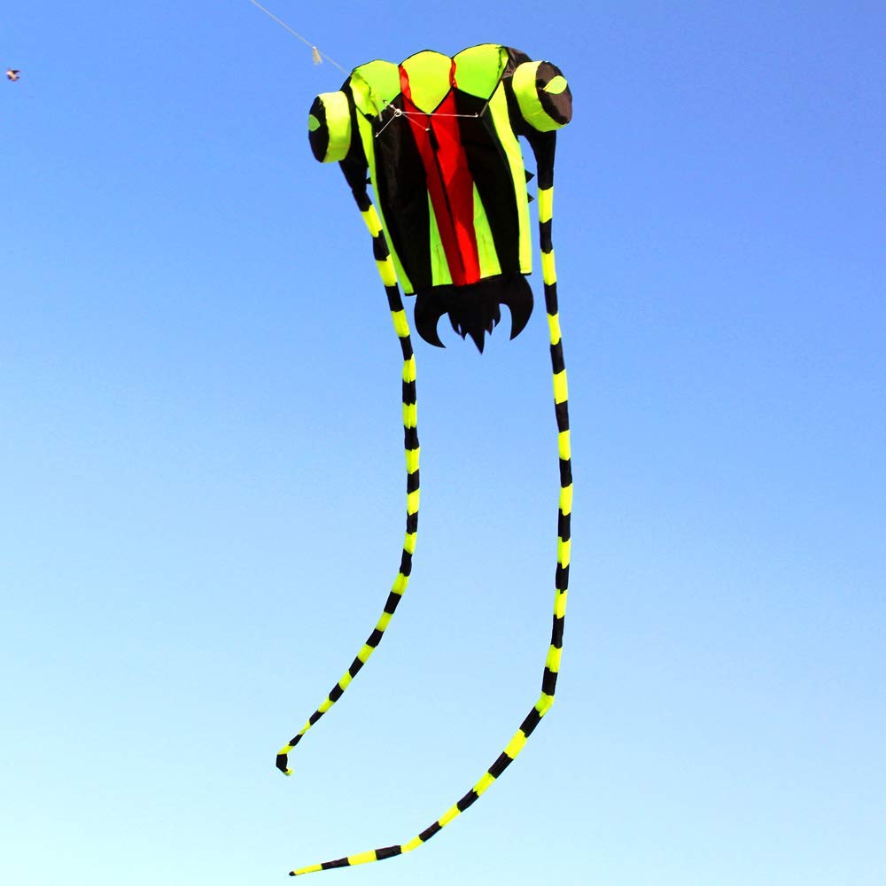 Cometa grande fácil de volar p - Kite Easy Fly Kids reseña y precio